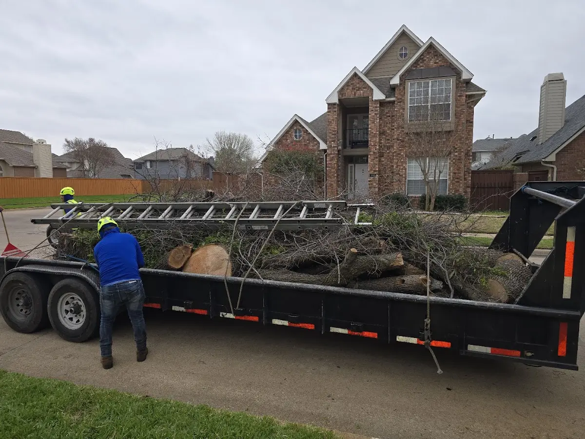 Expert Tree Pest Control with proper safety equipment in Bloomington Springs